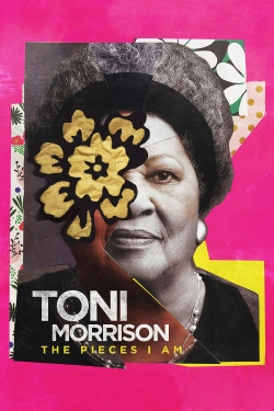 watch free Toni Morrison: The Pieces I Am hd online