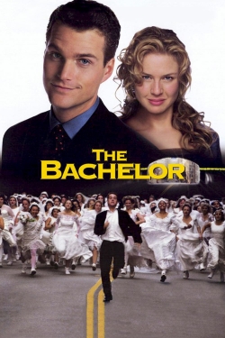 watch free The Bachelor hd online