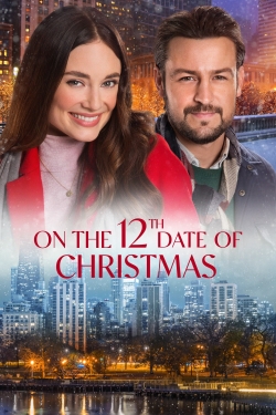 watch free On the 12th Date of Christmas hd online