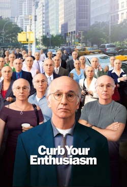 watch free Larry David: Curb Your Enthusiasm hd online