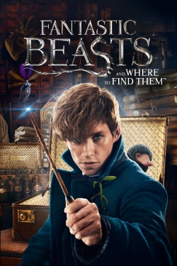 watch free Fantastic Beasts and Where to Find Them hd online