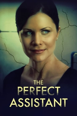 watch free The Perfect Assistant hd online