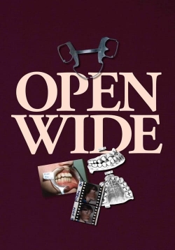 watch free Open Wide hd online