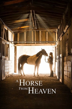 watch free A Horse from Heaven hd online