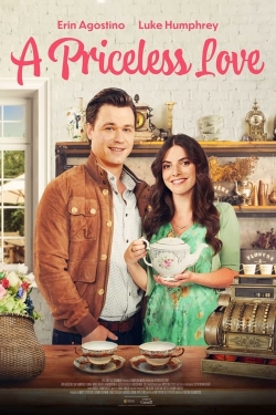 watch free A Priceless Love hd online