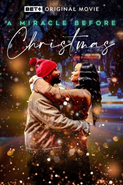 watch free A Miracle Before Christmas hd online